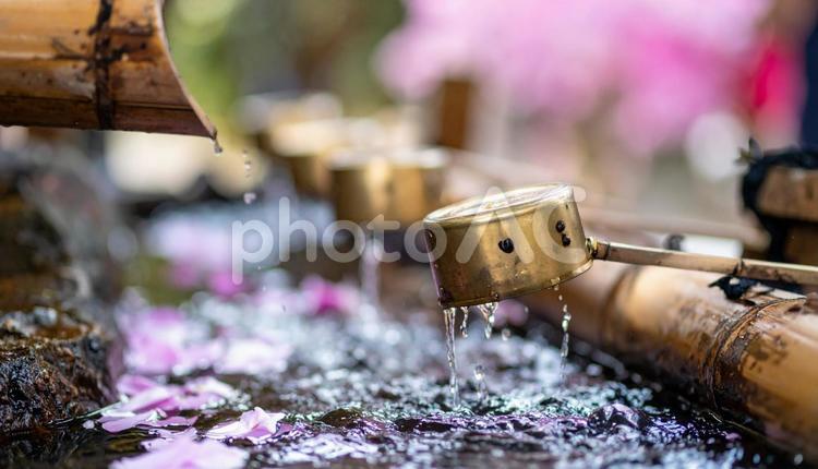 神社の手水舎のひしゃく　 神社,ひしゃく,初詣の写真素材