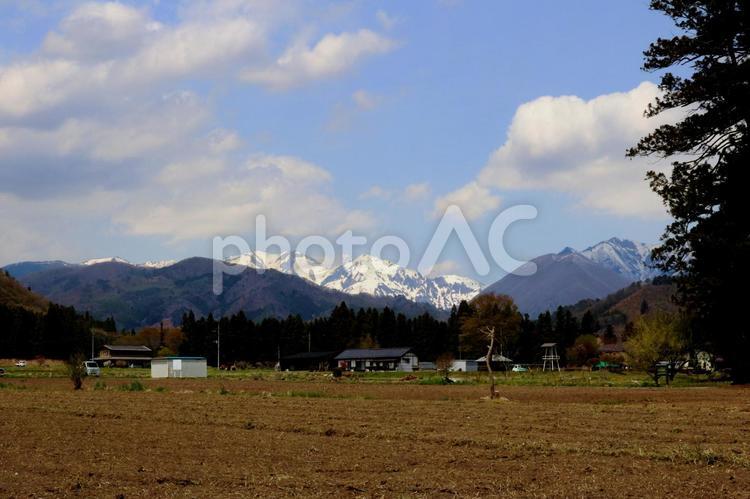 日本の原風景　春の畑と雪の谷川岳 春,原風景,谷川岳の写真素材