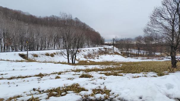 冬景色 くもり,雪,冬の写真素材