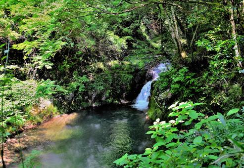 Pond and trees, JPG Pond and trees, JPG