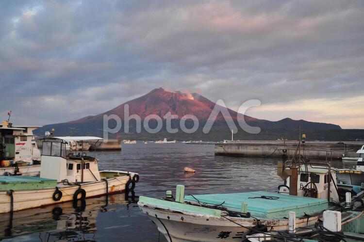桜島　朝焼け 桜島,朝焼け,海の写真素材