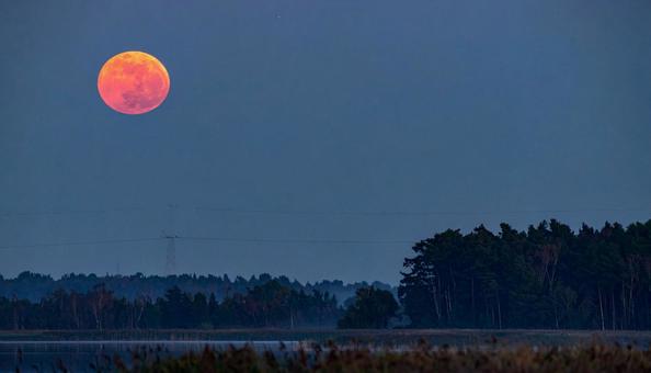 Red moon Red moonの写真
