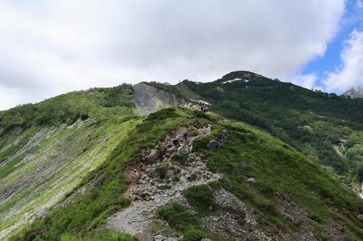 夏山|八方 夏山|八方の写真