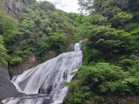 袋田の滝 袋田の滝の写真