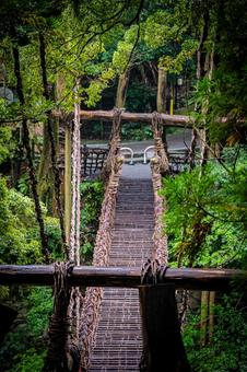 四国　徳島　祖谷のかずら橋 祖谷のかずら橋,四国,四国地方の写真素材