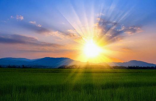 太陽の光 太陽の光の写真