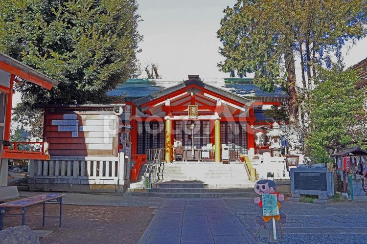 熊野町熊野神社（板橋） 熊野神社,伊佐奈美命,速玉之男命の写真素材