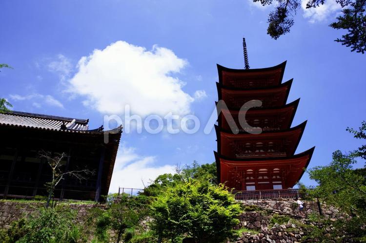 宮島　厳島神社　五重塔 宮島,厳島神社,島の写真素材