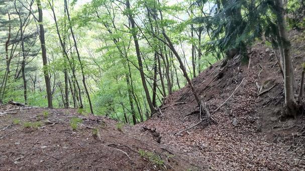 稲蔵城(二の空堀)02 稲蔵城(二の空堀)02 稲倉城,信州,信濃の写真素材