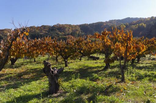 里の秋２ 風景,秋,里山の写真素材