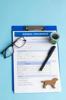 ペットに関する書類　眼鏡 保険,契約,申請の写真素材