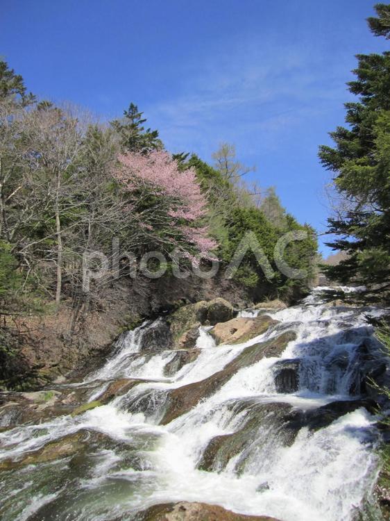 春の龍頭の滝中流 竜頭の滝,竜頭ノ滝,流れの写真素材