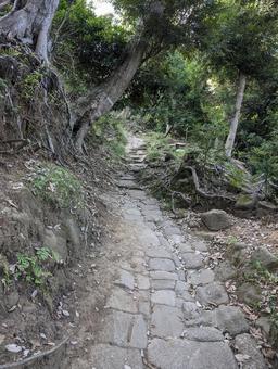鋸山より 山道,木々,自然の写真素材