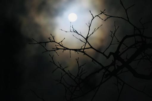 Horror-style tailoring December full moon "Cold Moon" Night Moon Series 6, JPG Horror-style tailoring December full moon "Cold Moon" Night Moon Series 6, horror style, scared, full moon, JPG