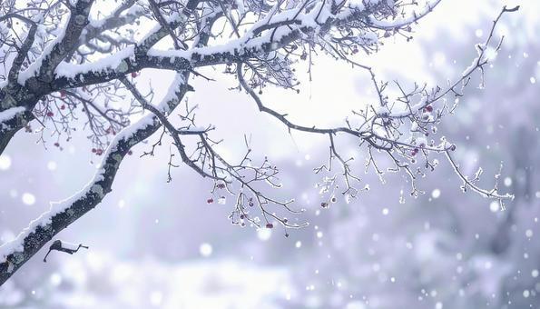 雪のつもる枝がきらめく 冬の風景 雪のつもる枝がきらめく 冬の風景の写真