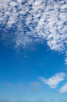 うろこ雲が広がる秋空の背景素材 うろこ雲が広がる秋空の背景素材の写真