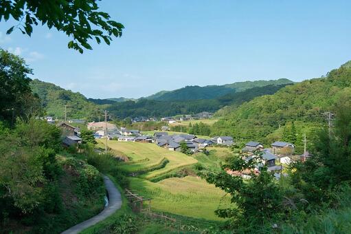 山あいに広がる日本の原風景と美しい棚田 里山,集落,田舎の写真素材