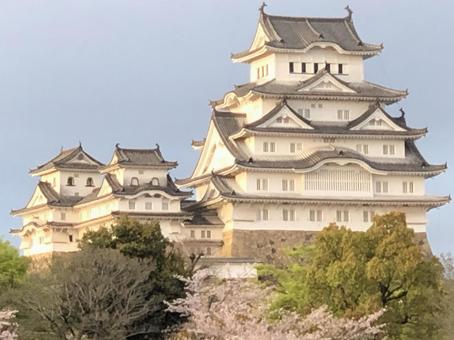 Clear sky, cherry blossoms and Himeji Castle, JPG