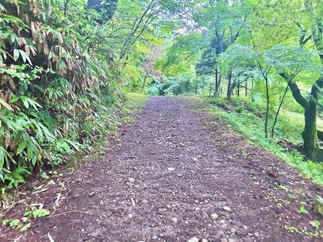 登山 登山 山道,登山,風景の写真素材