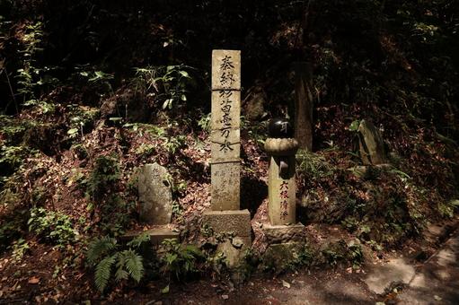 高尾山 登山道 高尾山 登山道 高尾山,ハイキング,風景の写真素材
