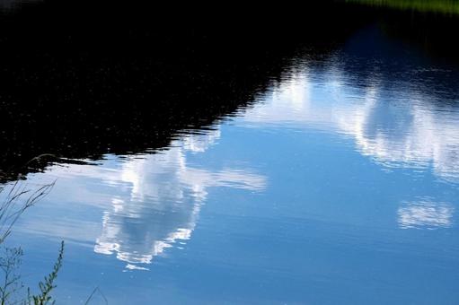 池に映る夏空 夏空,青空,池の写真素材