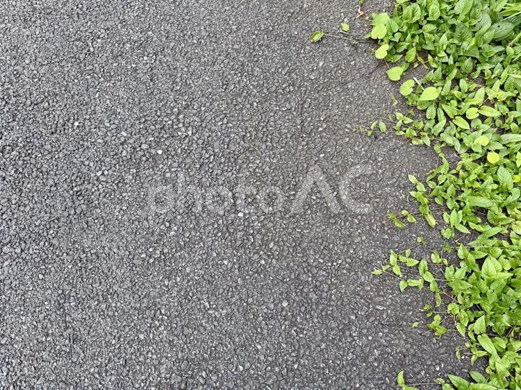 アスファルトと草 雑草,草,道草の写真素材