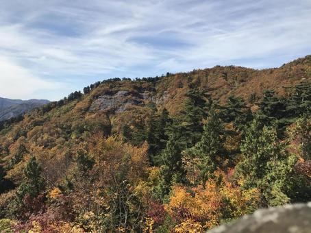 白山白川郷ホワイトロードの紅葉1 白山白川郷ホワイトロード,ドライブウェイ,白山の写真素材