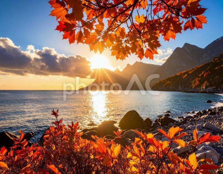 空と太陽、そして海と紅葉している山々 自然,海,空の写真素材