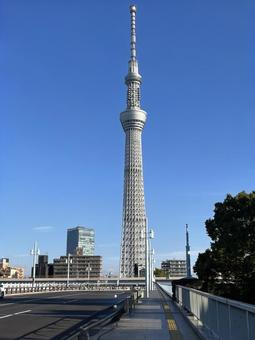東京の観光地スカイツリー 東京の観光地スカイツリーの写真