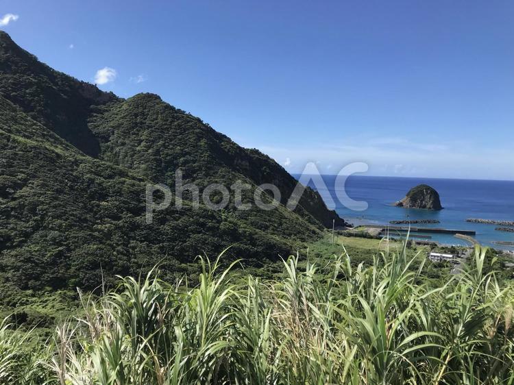 海(奄美大島) 海,奄美大島,夏の写真素材