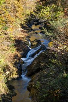 秋の横川渓谷⑵の写真