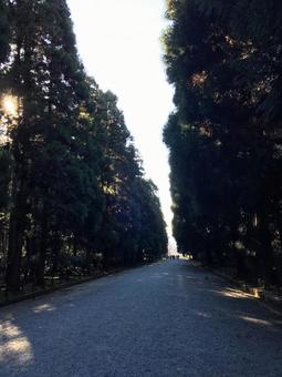 桃山御陵 桃山御陵の写真