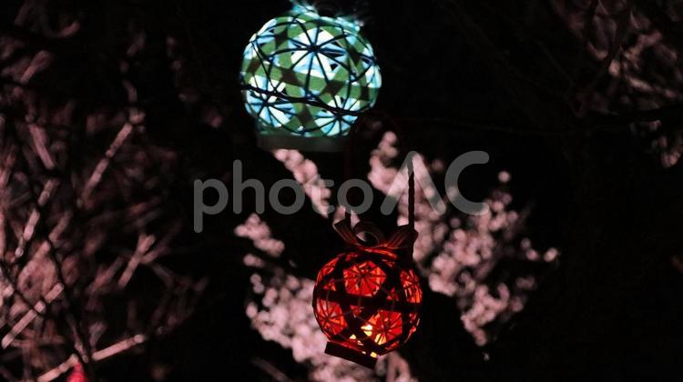 岩本山公園　早春の梅園のランタンの明かり 夜景,春,梅園の写真素材