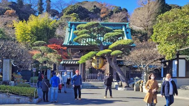 坂東33観音 04番 長谷寺 参道口 坂東33観音 04番 長谷寺 参道口 長谷寺,海光山,慈照院の写真素材