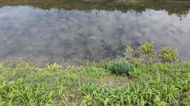 小川のせせらぎ 小川のせせらぎ,小川,景色の写真素材