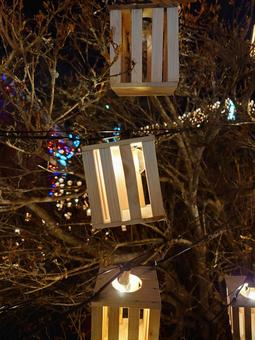 サンタランド　イルミネーション イルミネーション,街並み,屋外の写真素材