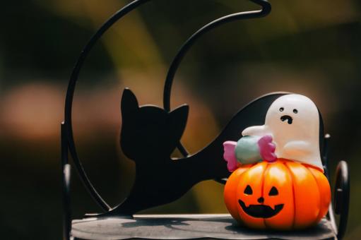 飴をあげるからハロウィンパーティーに行く 飴をあげるからハロウィンパーティーに行く ハロウィン,ハロウィンパーティー,かぼちゃの写真素材