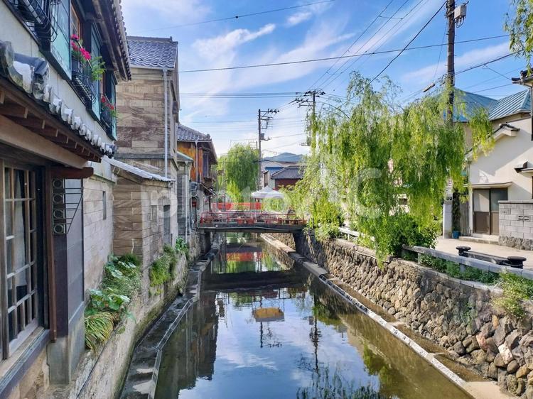 伊豆下田の町並　ペリーロードの散歩道 ペリーロード,寝姿山,下田の写真素材