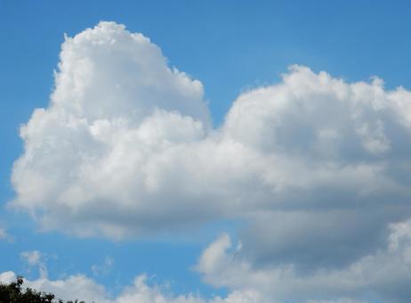 【風景写真】夏空 【風景写真】夏空の写真