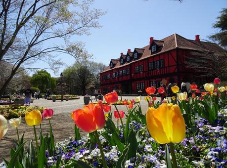 四月のアンデルセン公園-83 四月のアンデルセン公園-83の写真