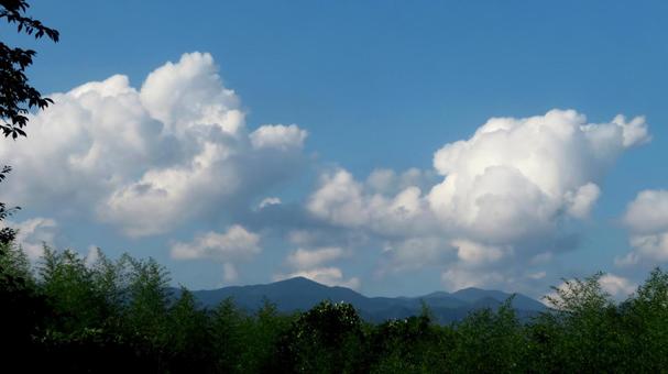 雲<にぎゃかな雲> 雲<にぎゃかな雲>の写真