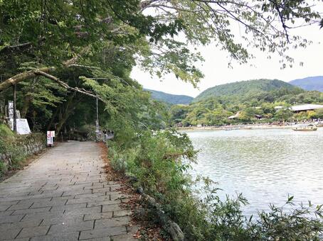 桂川を見渡せる遊歩道 桂川を見渡せる遊歩道の写真