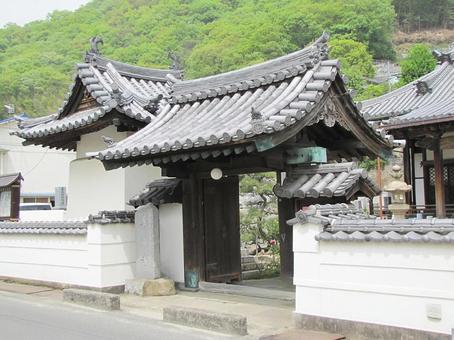 【風景写真】専福寺(広島県三原市)の風景 【風景写真】専福寺(広島県三原市)の風景 専福寺,浄土真宗,寺社仏閣の写真素材