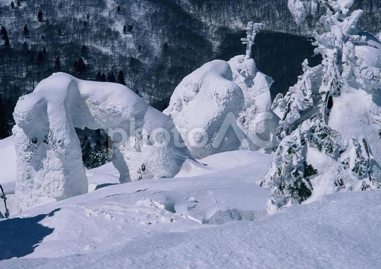 八甲田山の樹氷群 氷柱,冬,山の写真素材