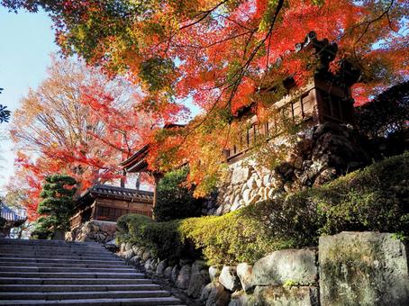 天覧山の山麓・能仁寺の紅葉・埼玉県飯能市の写真