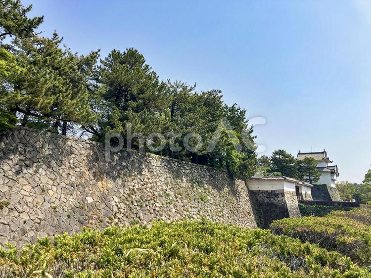 名古屋城の石垣と東南隅櫓 名古屋城,城,お城の写真素材