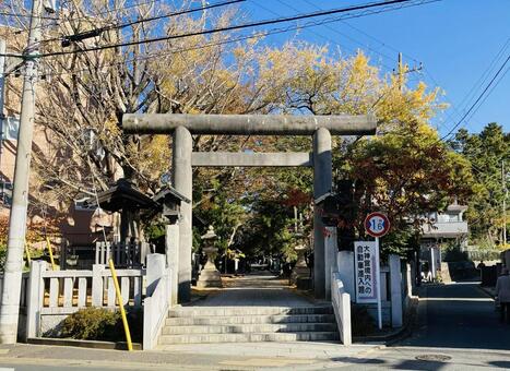 船橋大神宮　意富比神社　一之鳥居 船橋大神宮,意富比神社,千葉県船橋市の写真素材