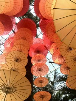 傘 傘,沢山の傘,鮮やかの写真素材