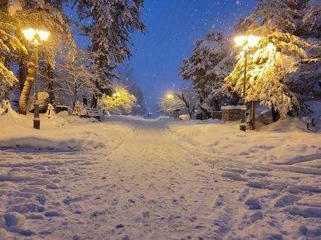 冬の上杉神社 冬の上杉神社の写真