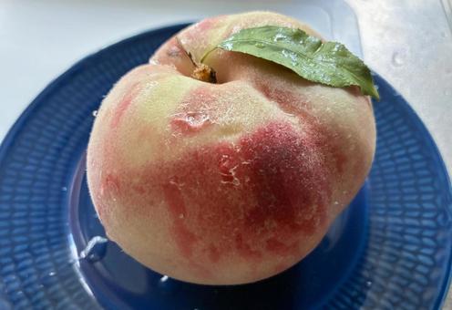 Freshly picked, juicy peaches, JPG Freshly picked, juicy peaches, JPG